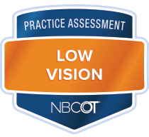 Practice Assessment - Low Vision